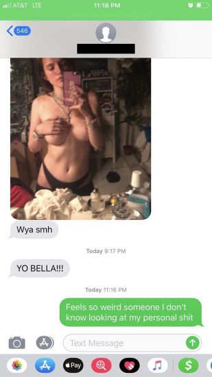 Bella Thorne leaked selfieand private chat
