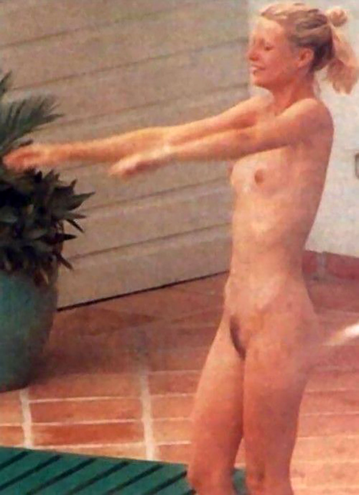 Gwyneth Paltrow Nackt