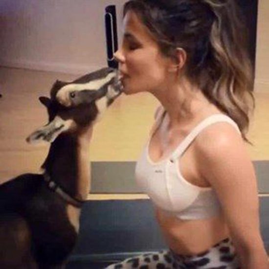 Kate Beckinsale kissing the goat