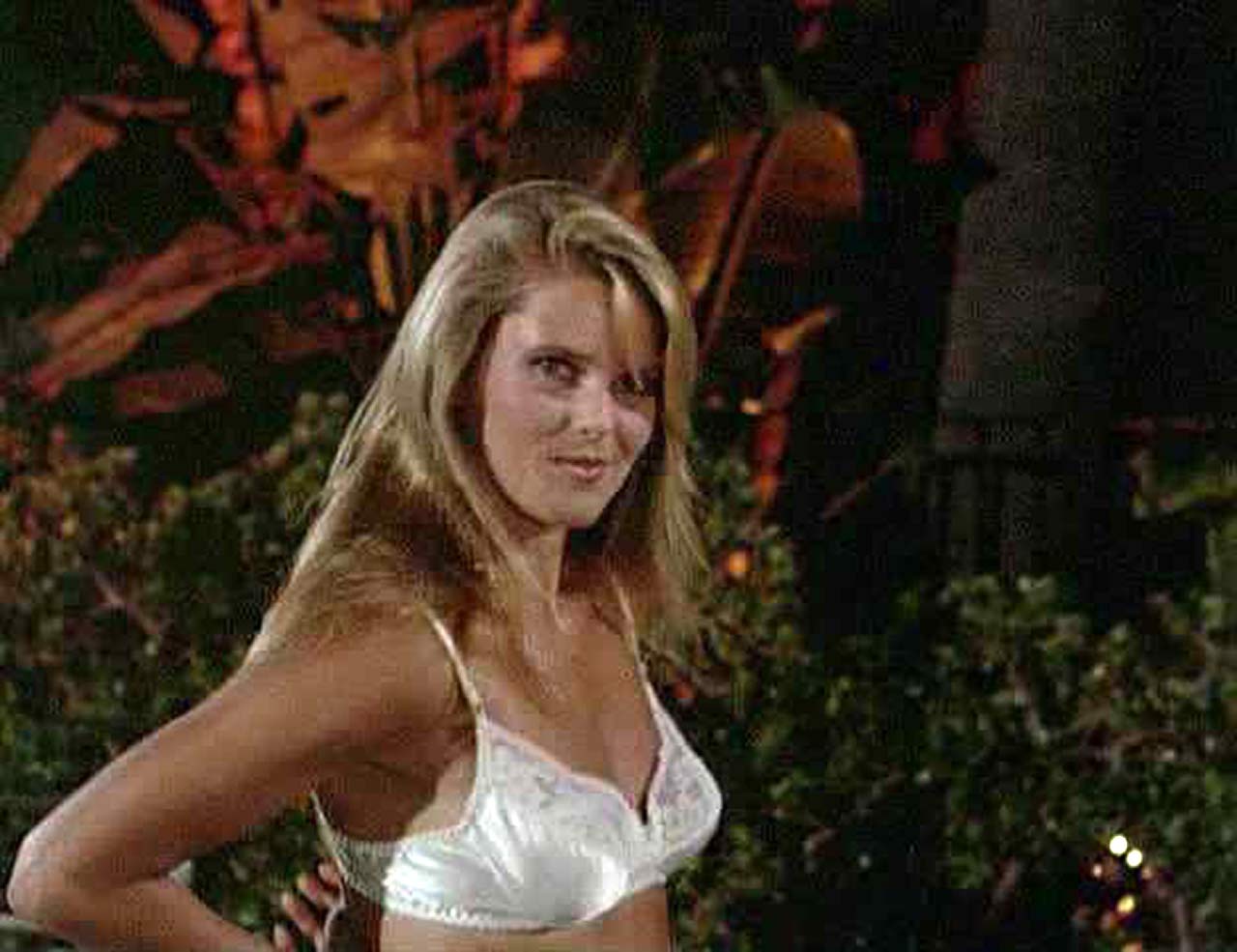 Christie Brinkley Naked Scene From Vacation Scandal Planet