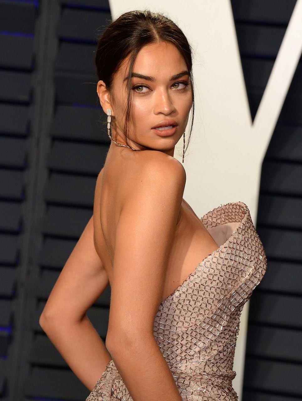 Shanina Shaik Naked Tits And Pussy At Oscars Party Scandal Planet