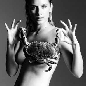 Melanie Laurent Nude ULTIMATE Collection 39