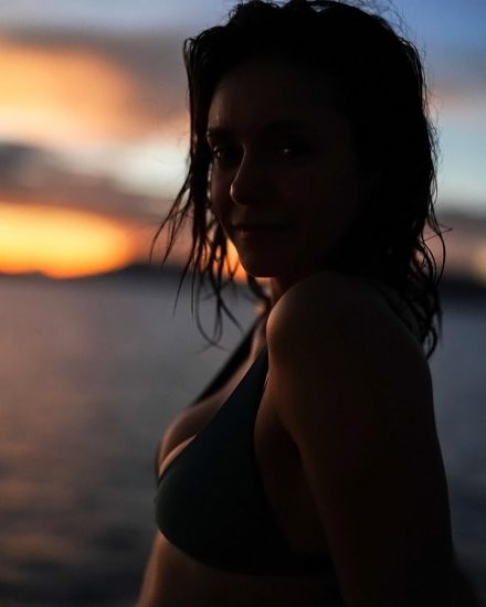 Nina Dobrev Nude Leaked Photos & Sex Tape 36