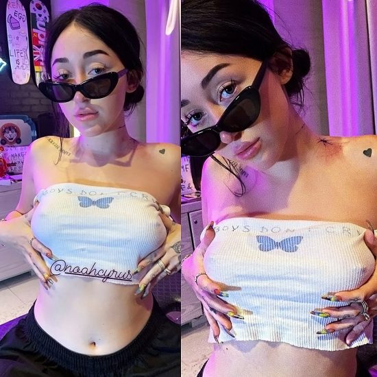 Noah Cyrus Nude LEAKED Pics And Hot Porn Video 26