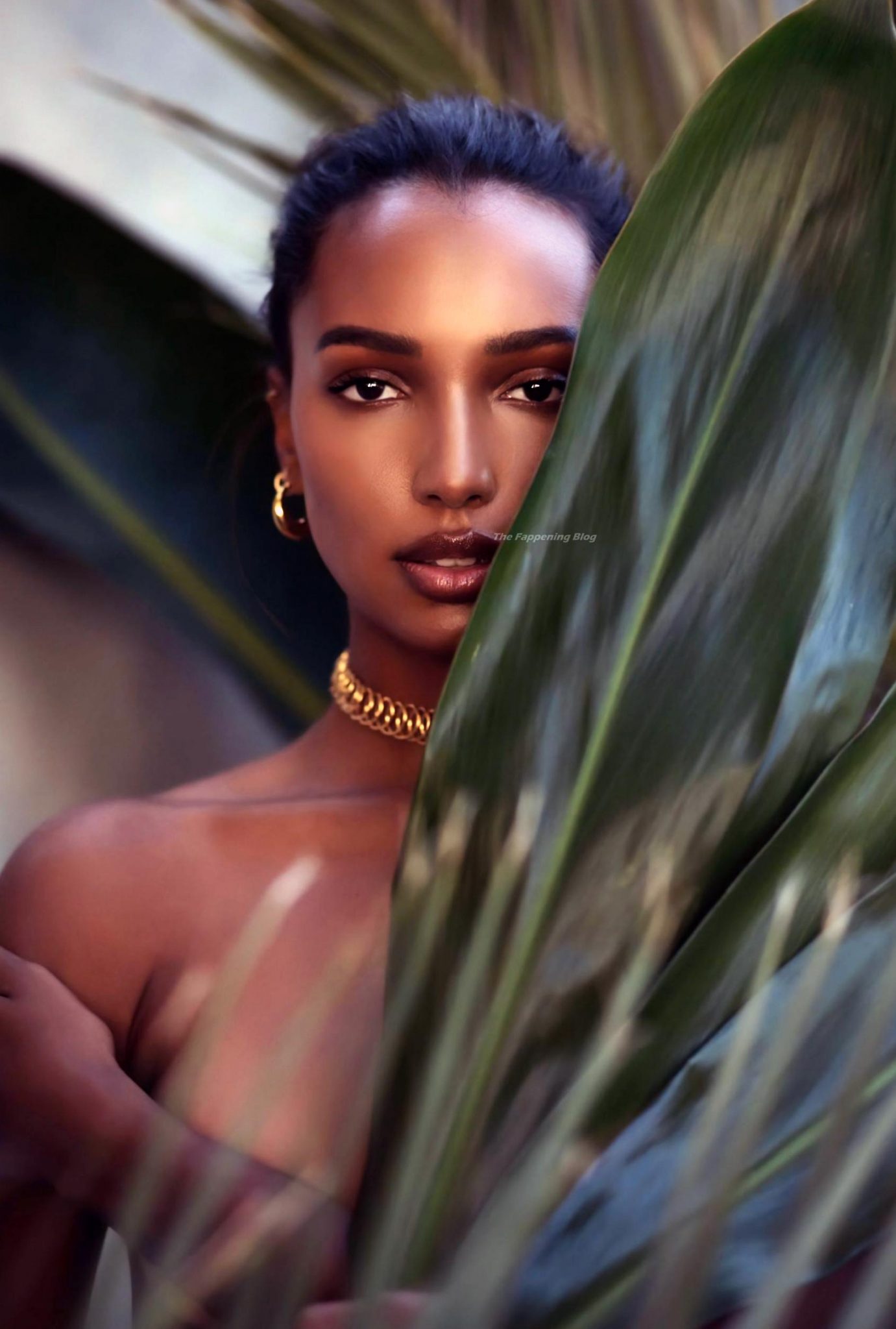 Jasmine Tookes Nude And Topless Pics And Leaked Sex Tape 2044
