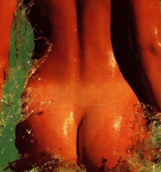 Stephanie Seymour Nude Pics & LEAKED Sex Tape Porn 171