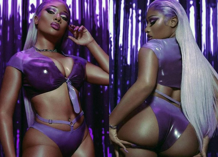 Megan Thee Stallion Nude LEAKED Pics & Porn Video 1059