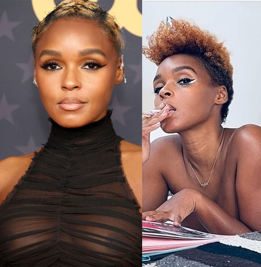 Janelle Monae Nude Pics And Leaked Sex Tape Scandal Planet Hot Sex Picture