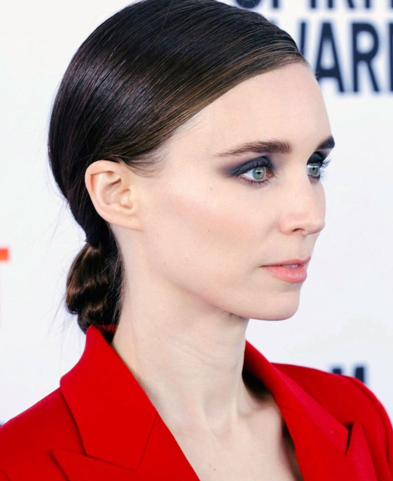 Rooney Mara Nude Pics Scenes And Porn Scandal Planet