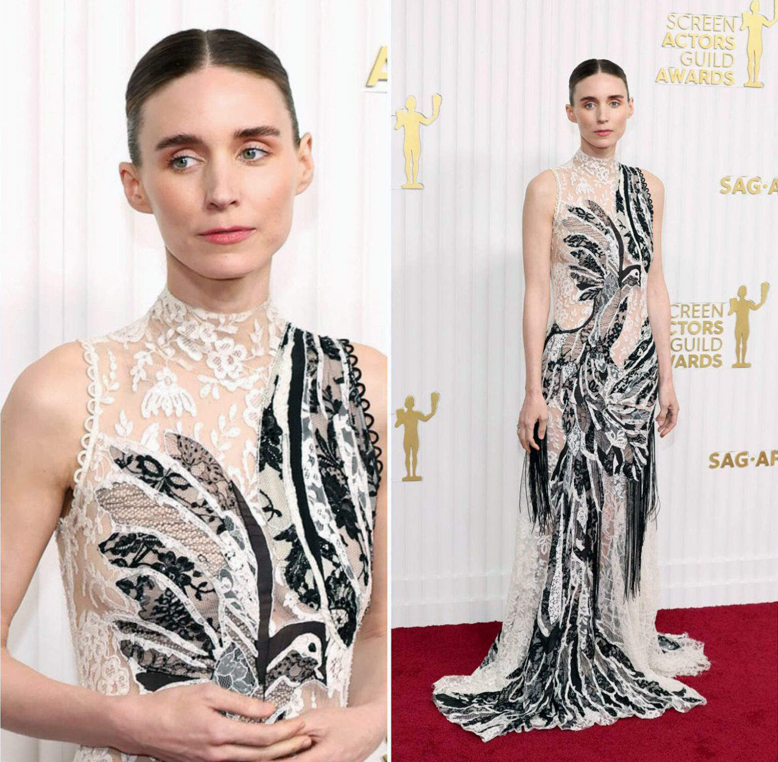 Rooney Mara Nude Pics Scenes And Porn Scandal Planet