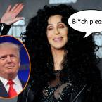 Cher Making Fun Of Donald Trump