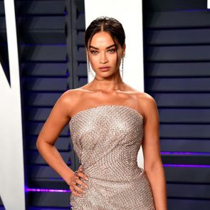 Shanina Shaik silver dress